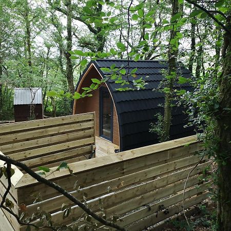 The Pod-Hot Tub-Woodland Lodges-St Clears-Кармартен Экстерьер фото