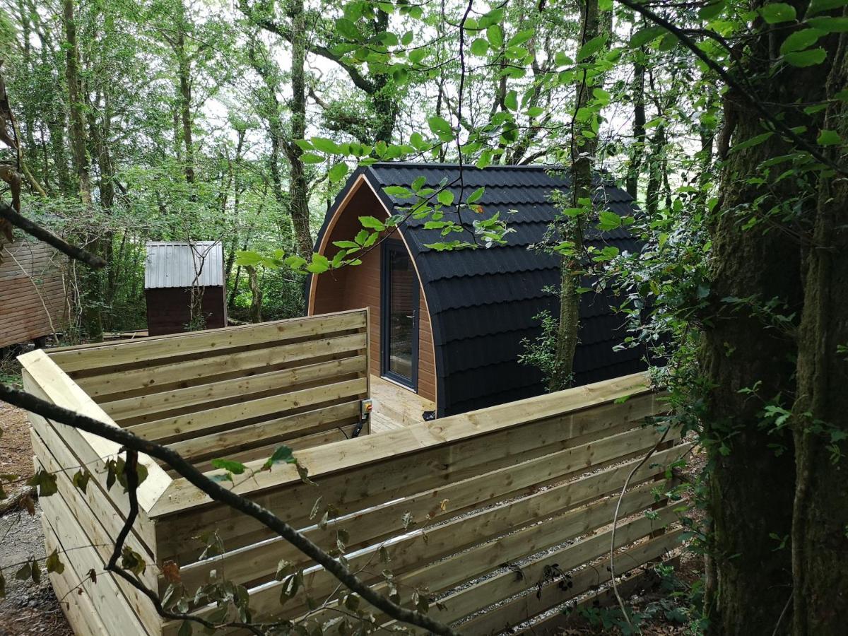 The Pod-Hot Tub-Woodland Lodges-St Clears-Кармартен Экстерьер фото